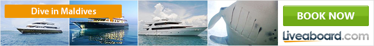 Liveaboard.com banner for diving in the Maldives, showing luxury dive boats and a manta ray