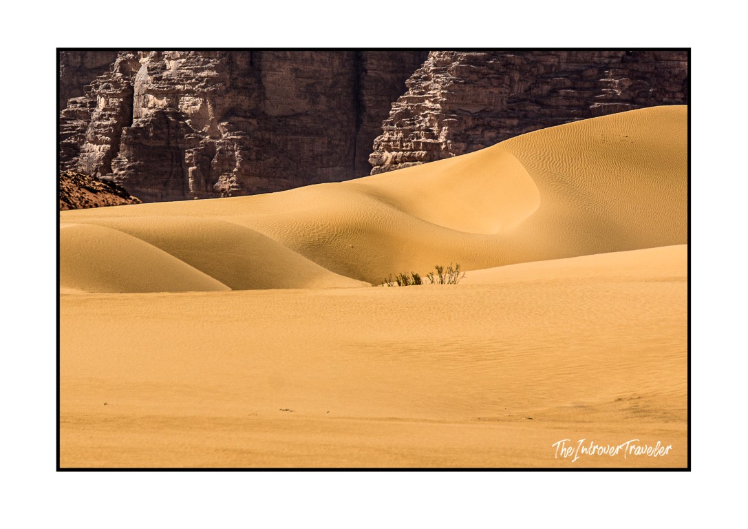 Golden sand dunes and sandstone cliffs of Wadi Rum desert, Jordan, with sparse desert shrubs