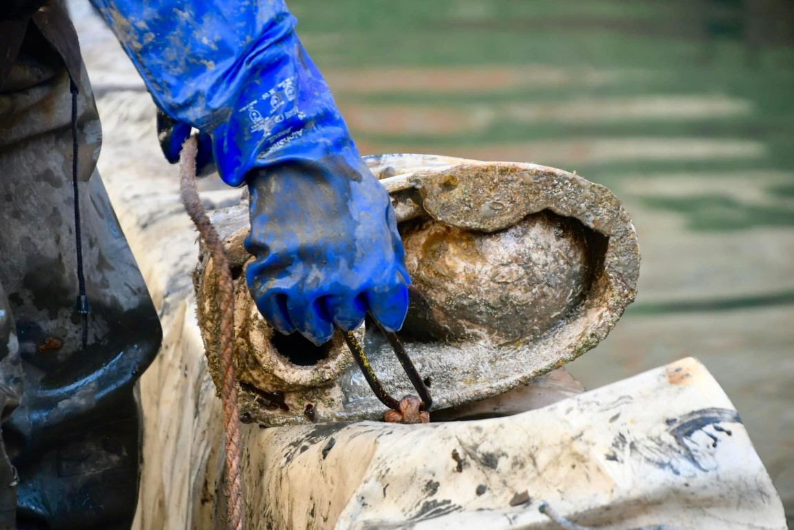 Gloved diver retrieving debris from a Venice canal, helping restore the lagoon ecosystem