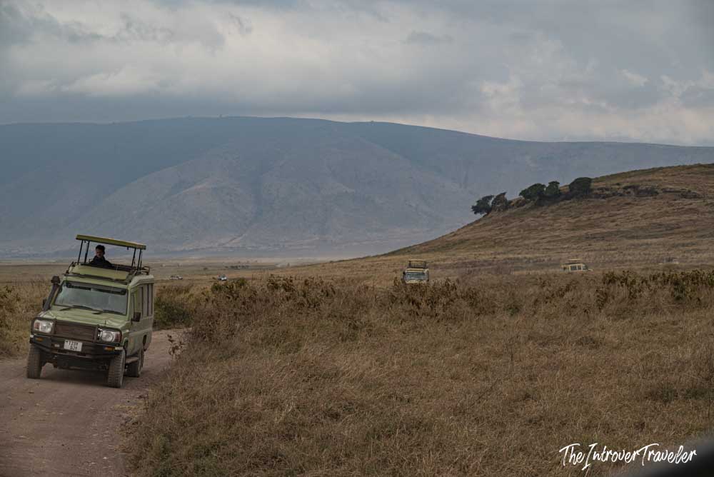 Safari jeeps driving across the Ngorongoro Crater floor in Tanzania, with the crater rim visible behind