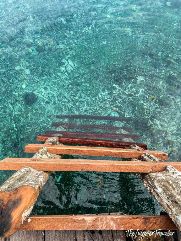 Wooden ladder descending into crystal-clear turquoise waters of Raja Ampat, Indonesia
