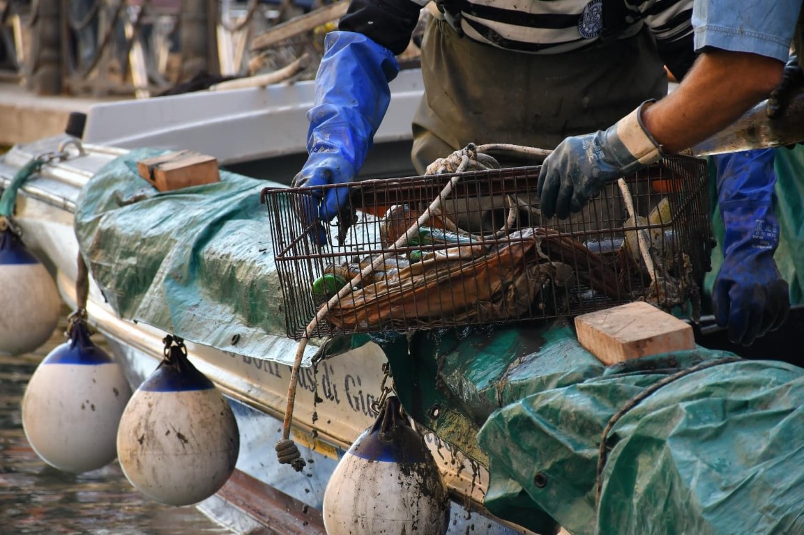 Venetian canal diver handling a wire cage with recovered objects from a working boat on the lagoon