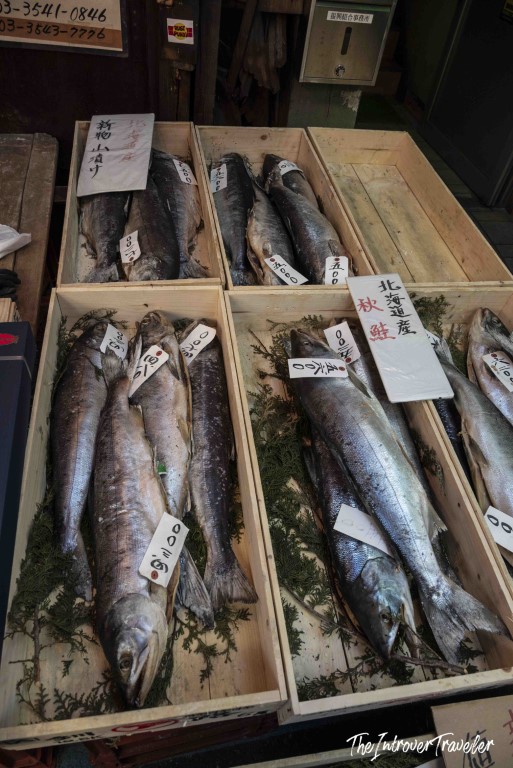 Fresh whole salmon from Hokkaido displayed in wooden crates at Tsukiji fish market, Tokyo