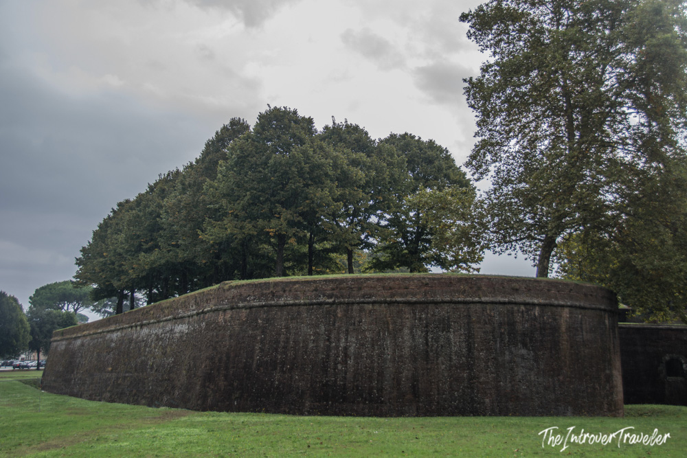 Tree-lined Renaissance walls of Lucca, Tuscany, with curved stone ramparts and green lawn