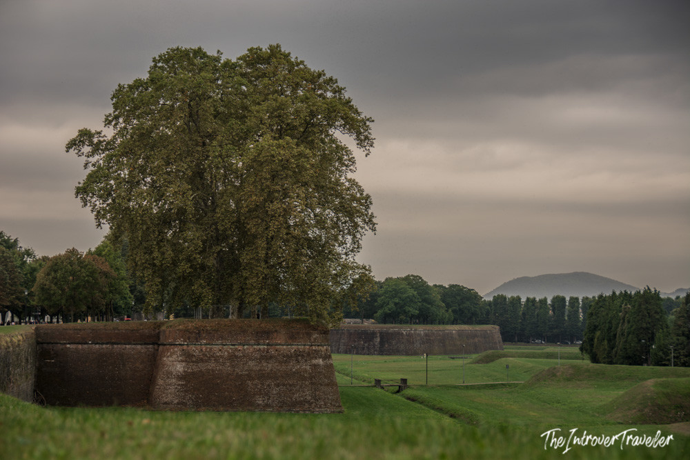 Lucca's Renaissance city walls with grassy ramparts, moat, and tree-lined bastions under cloudy skies