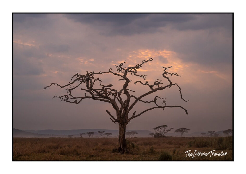 Tanzania