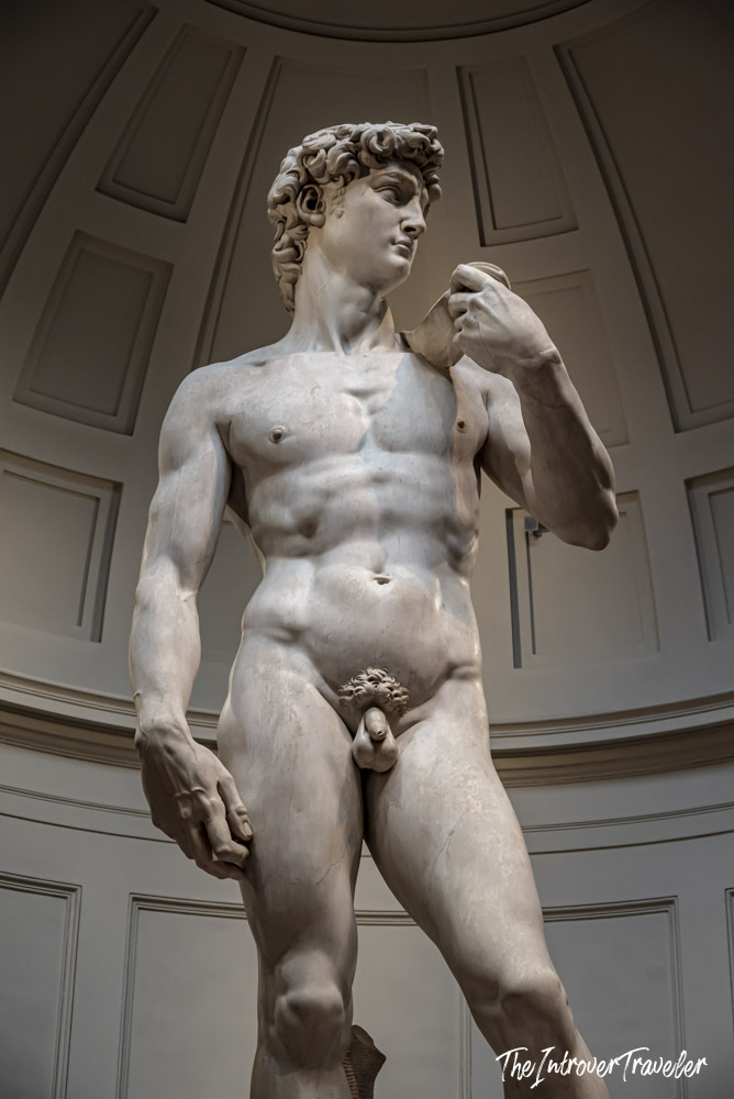 Michelangelo's David statue at Galleria dell'Accademia, Florence, viewed from below