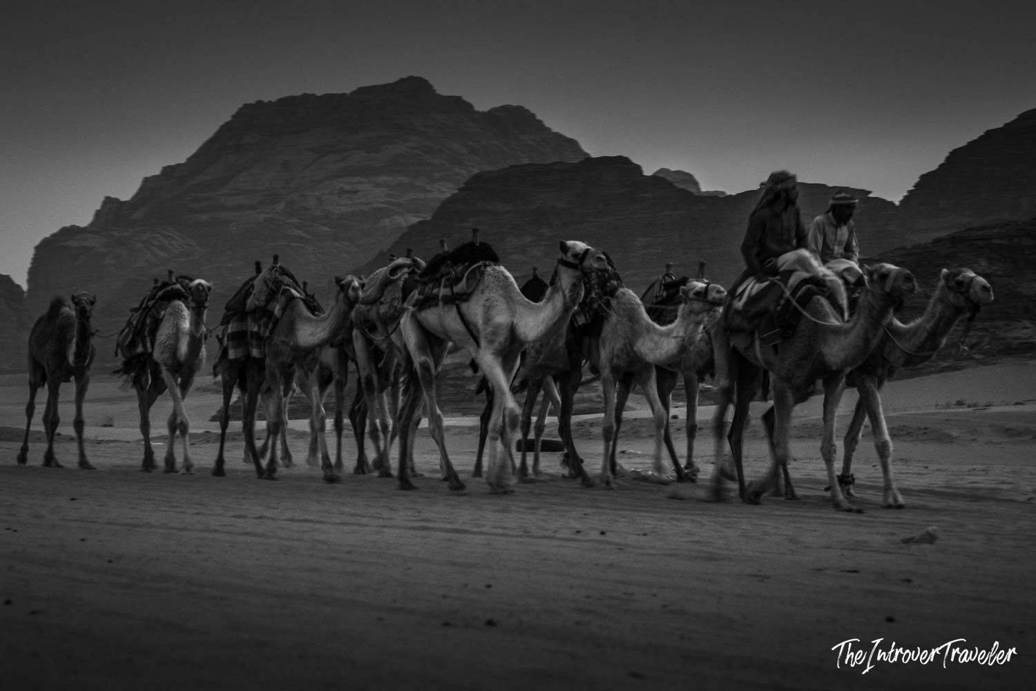 Bedouin camel caravan crossing Wadi Rum desert, Jordan, with dramatic sandstone mountains at dusk