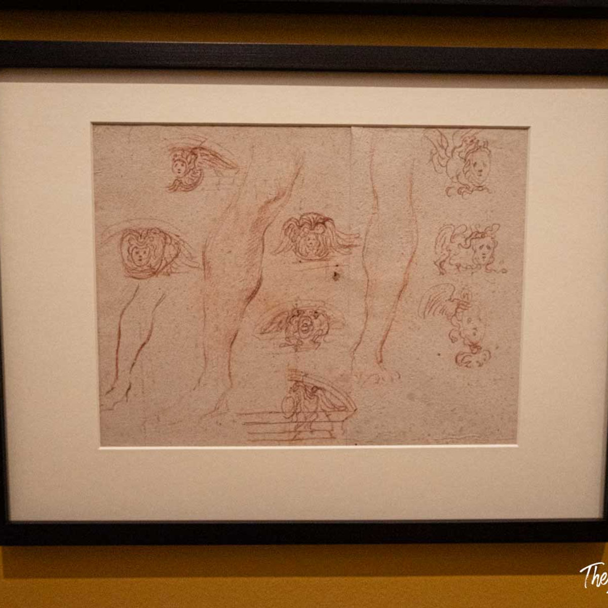 Framed red chalk study sheet by Bernini, showing winged heads and leg sketches, displayed at Palazzo Barberini exhibition