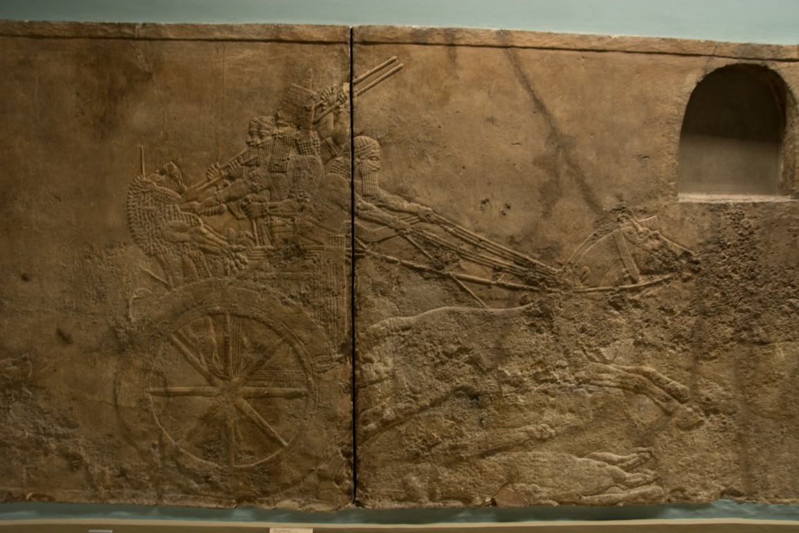Assyrian lion hunt relief at the British Museum, showing a royal chariot with archers at full gallop