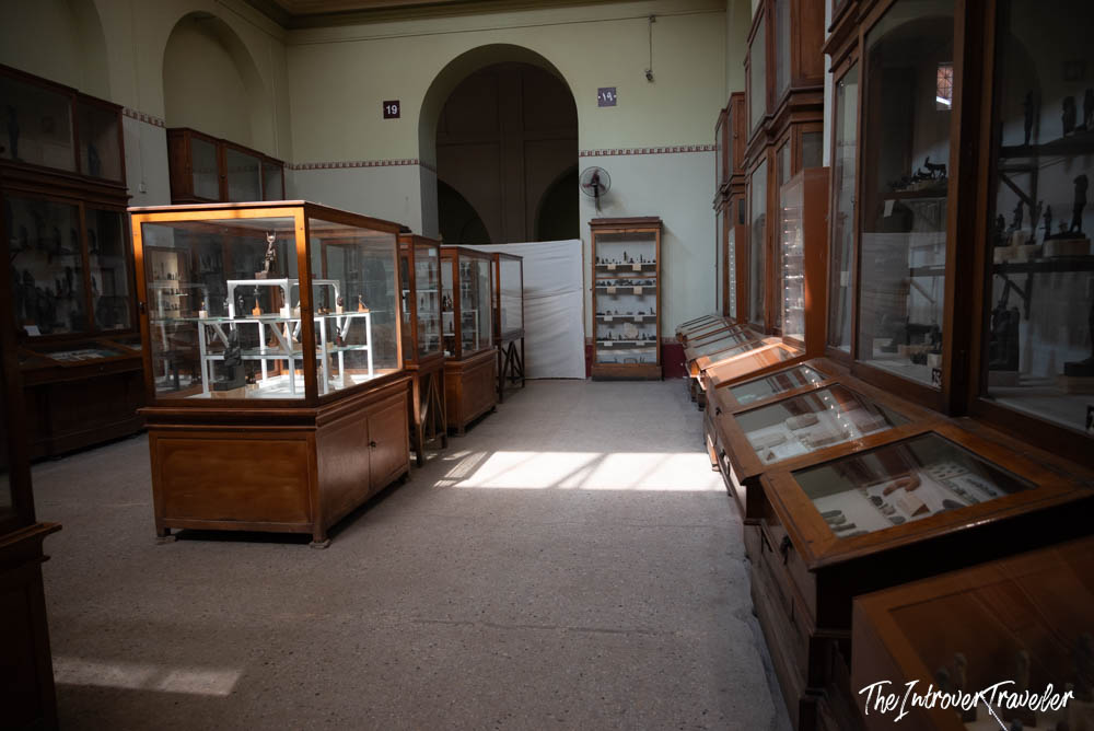 Room 19 of the Egyptian Museum Cairo, wooden display cases holding ancient artifacts in dated 19th-century style