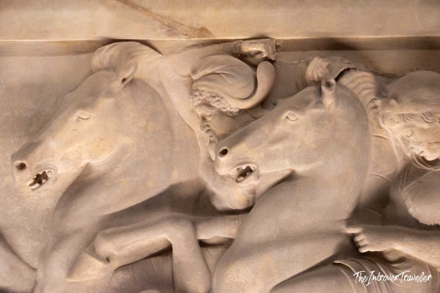 Close-up of horse heads carved in relief on a marble sarcophagus at the Istanbul Archaeological Museum
