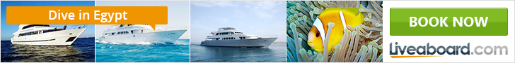 Liveaboard.com dive boats and clownfish for Red Sea liveaboard diving in Egypt