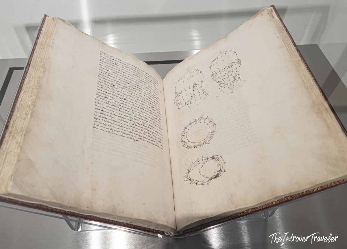 Leonardo da Vinci manuscript page showing anatomical head sketches and notes, displayed at the Accademia Gallery Venice