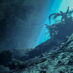 Underwater view inside a Yucatan cenote, with sunlight rays piercing the surface and tangled tree roots above rocky floor