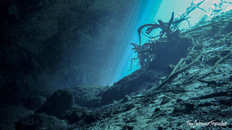 Diving in cenotes in Yucatan peninsula (Dos Ojos, Carwash, Angelita): An Experience Out of Time and Space