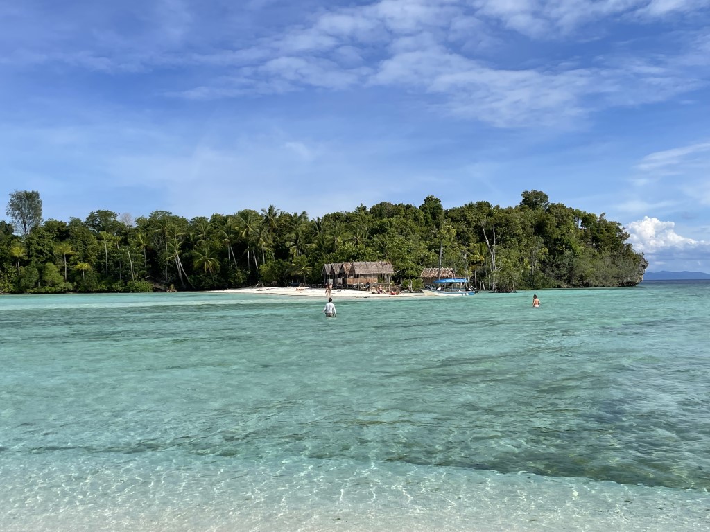 Turquoise lagoon and white sand beach of Raja Ampat, with a thatched hut and tropical jungle