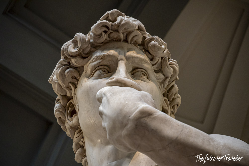 Close-up of Michelangelo's David face, showing intense gaze and curly hair detail at Galleria dell'Accademia