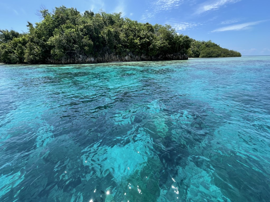 Crystal-clear turquoise waters around a mangrove islet in Raja Ampat, Indonesia
