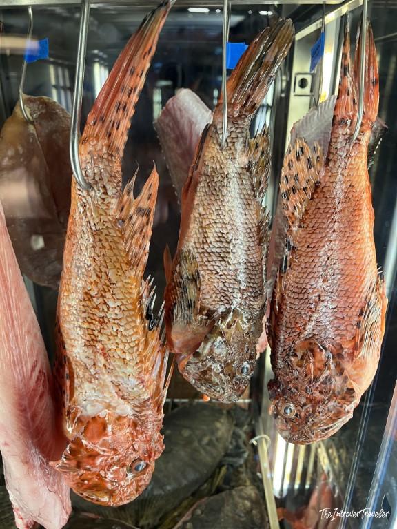 Fresh whole scorpionfish hung on display at a Rimini seafood restaurant, showcasing local Adriatic catch