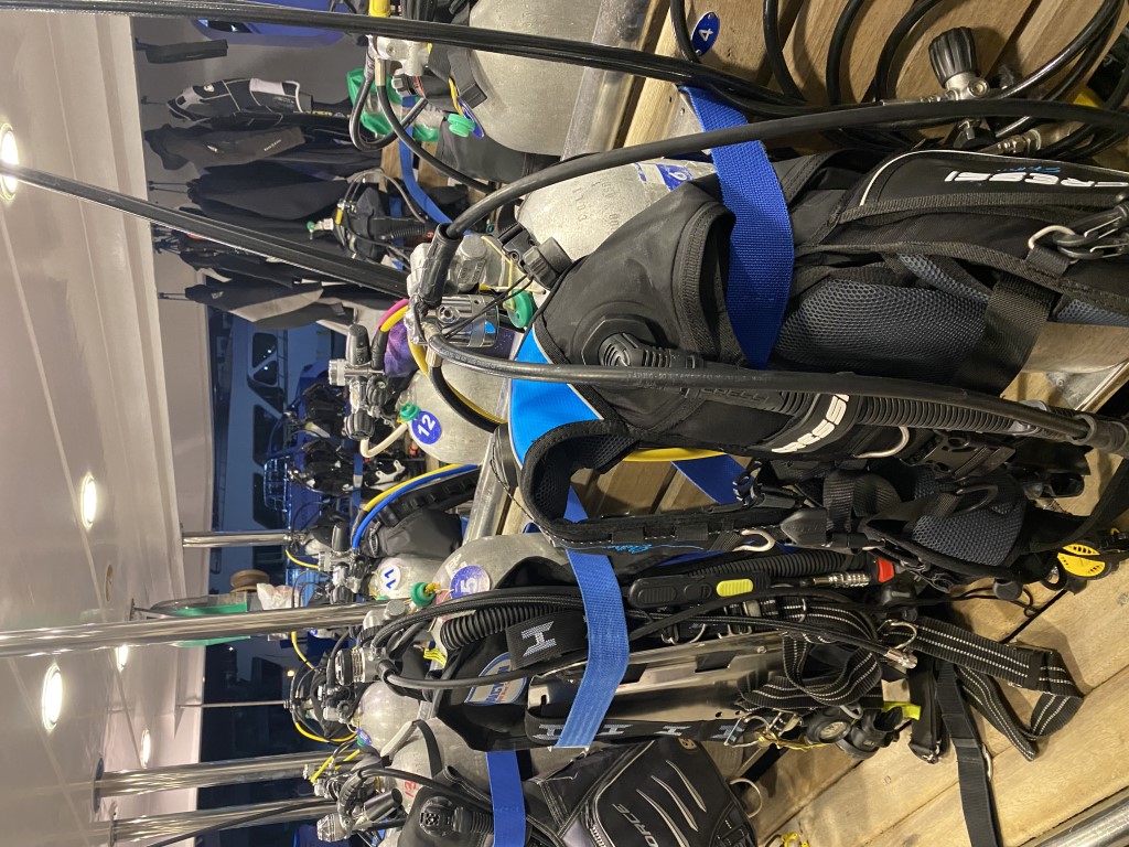 Rows of numbered scuba tanks and BCDs secured on a Red Sea liveaboard dive deck
