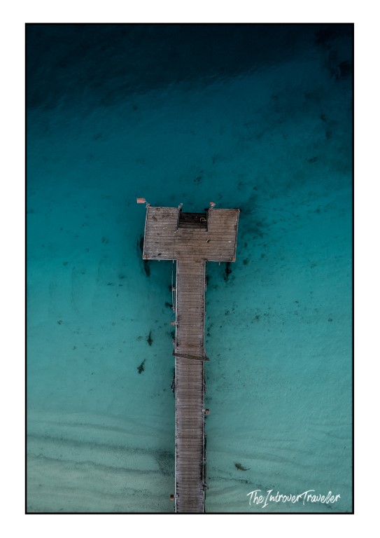 Aerial drone view of a wooden jetty over turquoise Raja Ampat waters, with sharks visible below