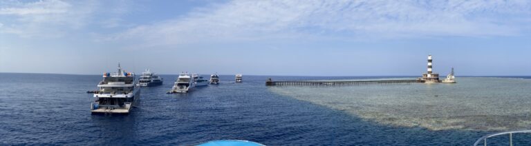 Red Sea Liveaboard Diving: A Complete Beginner’s Guide (Best Sites, Seasons & Tips). Get ready to pack your wetsuit!