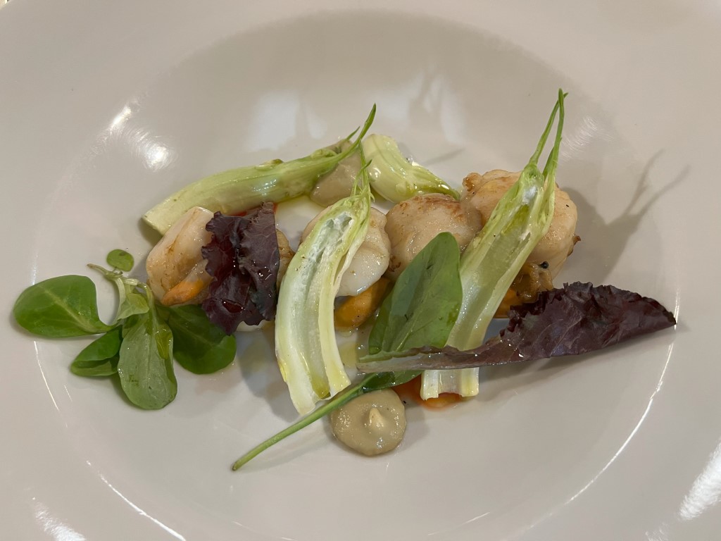 Seared scallops with puntarelle chicory and mixed greens at Trattoria da Maro, Bologna