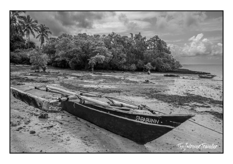 Diving in Mafia island (Tanzania)