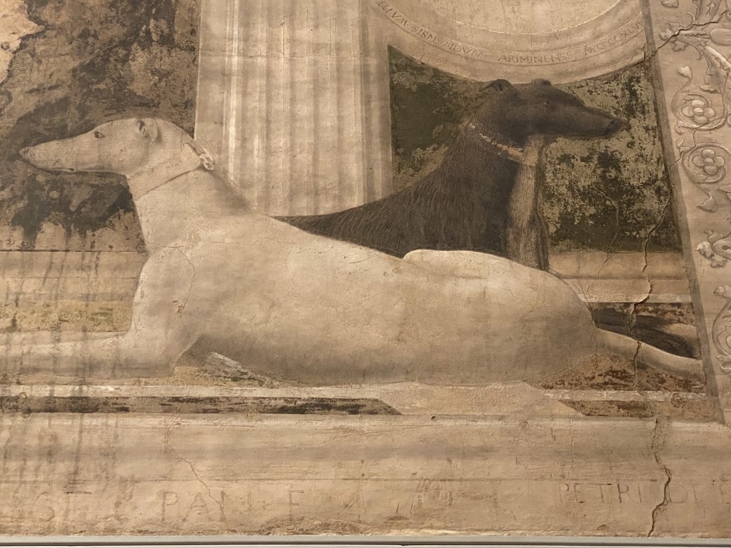 Two greyhounds detail from Piero della Francesca fresco, Rimini, showing Renaissance painting technique