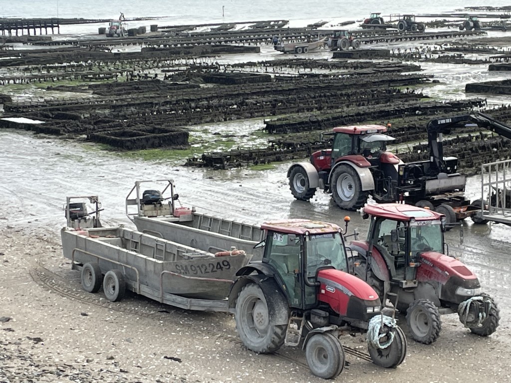 Cancale oyster beds at low tide with red tractors and flat-bottomed boats working the harvest