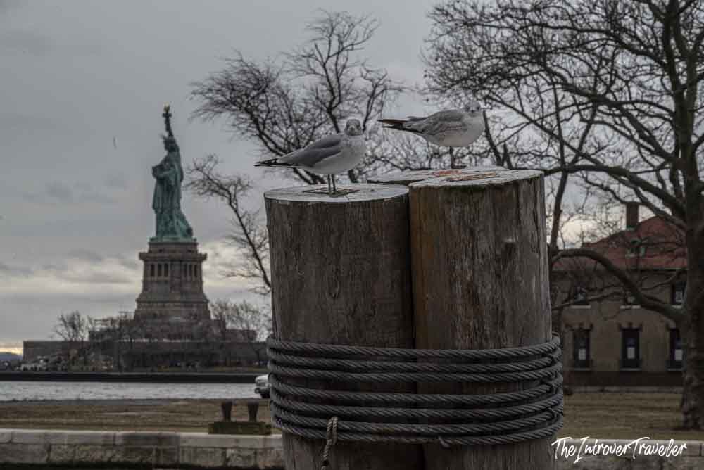 Two seagulls perched on dock posts near Ellis Island, with the Statue of Liberty visible in the background