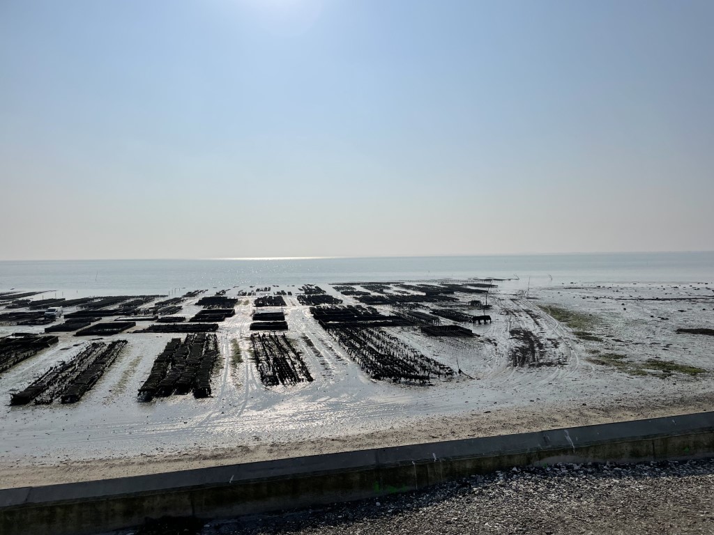 Cancale oyster beds at low tide, rows of farming cages stretching across the tidal flats toward the sea