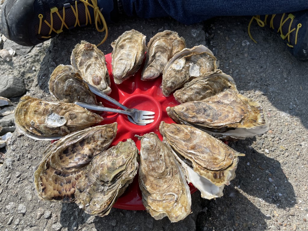 Dozen fresh Cancale oysters arranged on a red plate, eaten outdoors at the Brittany seaside market