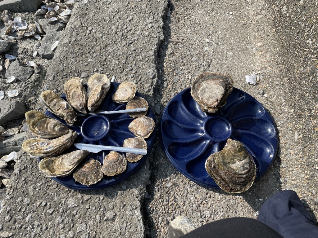 Fresh Cancale oysters on blue plates, served outdoors on the rocky Brittany waterfront