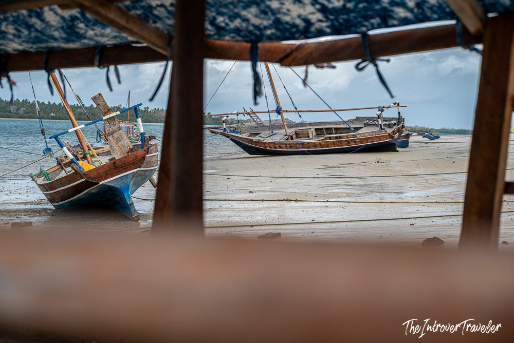 Traditional wooden dhow boats beached at low tide on Mafia Island, Tanzania