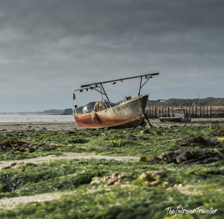 Small fishing boat resting on a seaweed-covered shore at low tide near a coastal fish market