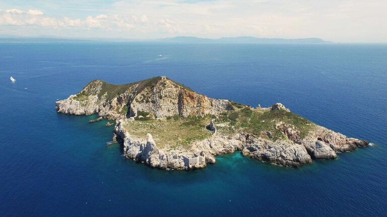 Scuba diving in Cerboli (Tuscany)