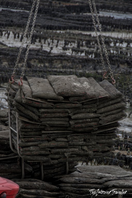Stacked oyster mesh bags lifted by chain crane over Cancale oyster beds at low tide