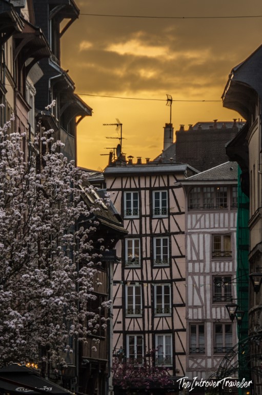 Rouen Normandy half-timbered buildings at sunset with spring cherry blossoms in the foreground