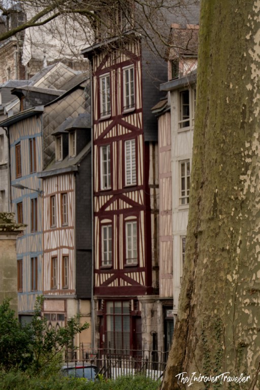 Narrow half-timbered medieval building in Rouen, Normandy, framed by a plane tree
