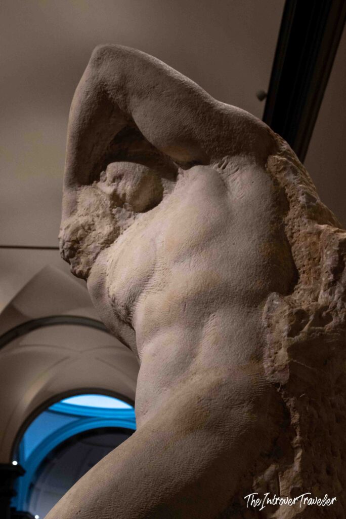 Michelangelo's Prigioni