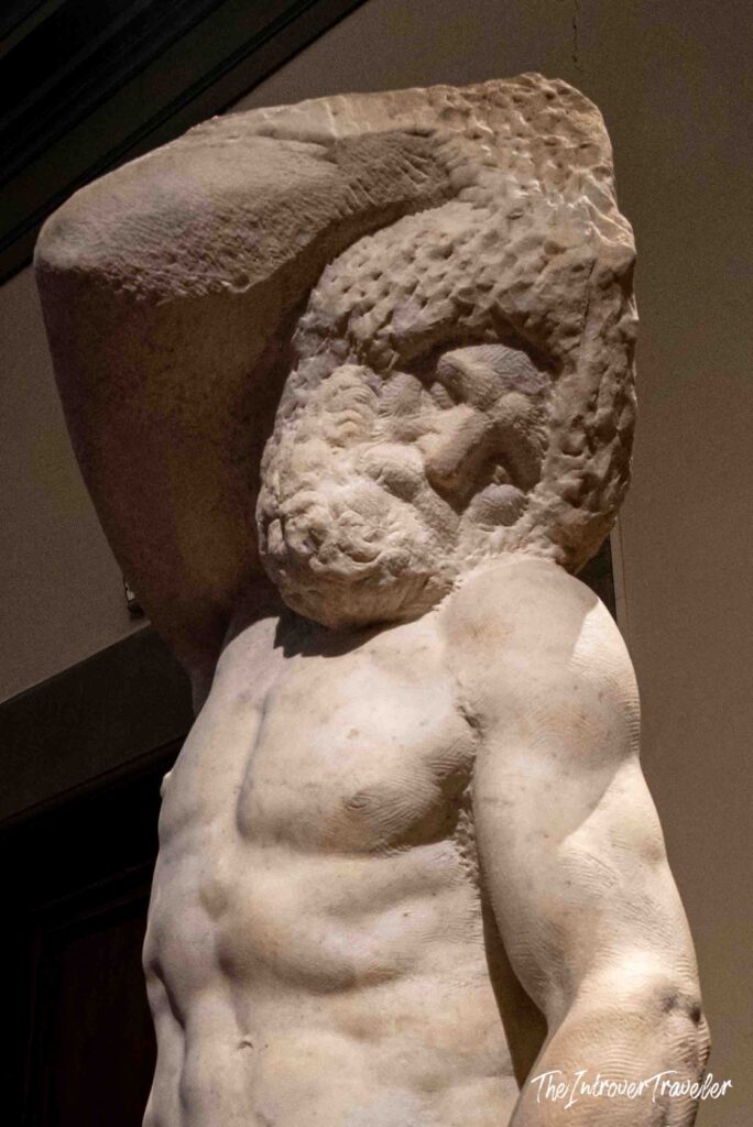 Michelangelo's Prigioni Accademia