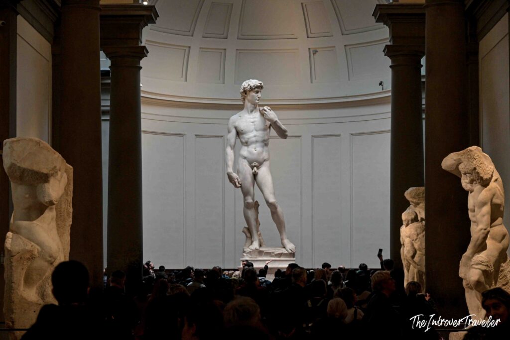 Michelangelo's David at the Galleria dell'Accademia in Florence