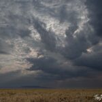 Serengeti