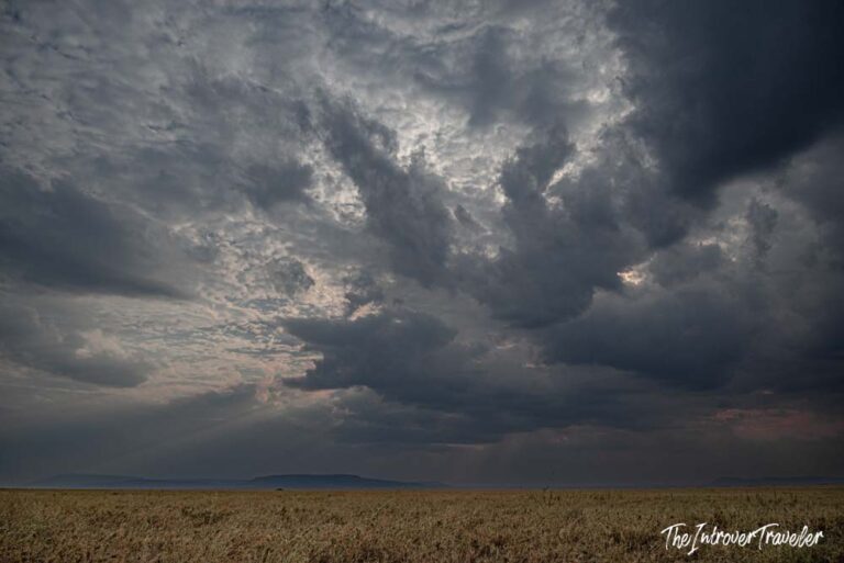 Serengeti National Park Guide (Tanzania): Ecosystem, Wildlife and Ecology of East Africa