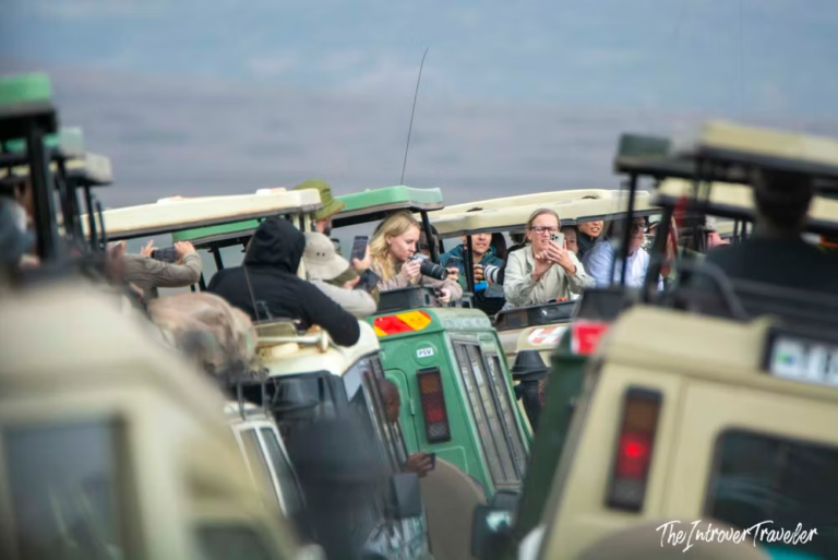The Best Time to Visit Tanzania: Seasons, Climate, and the Rhythm of the Savanna