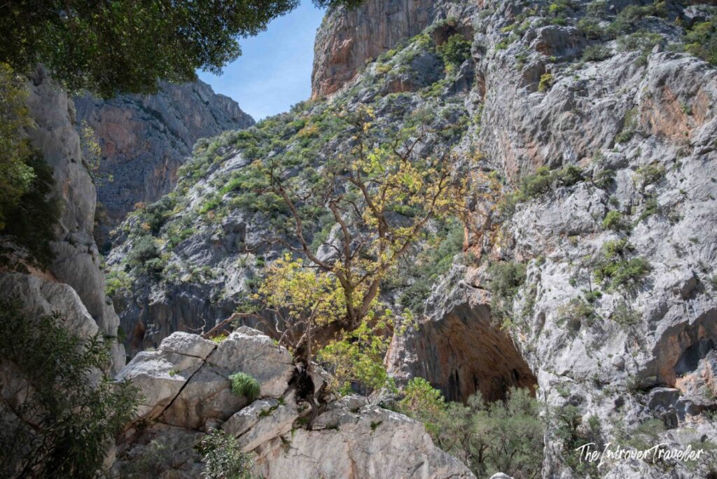 Gorropu, Sardinia
