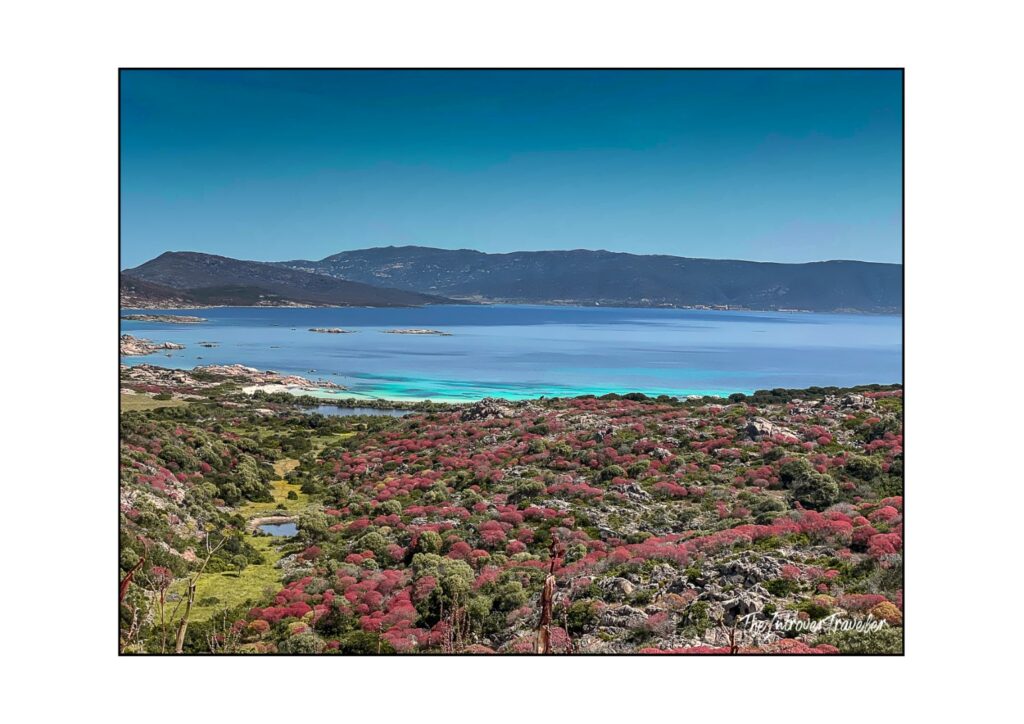 Sardinia