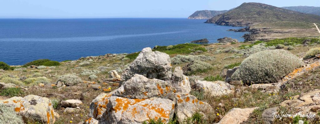 Asinara, Sardinia